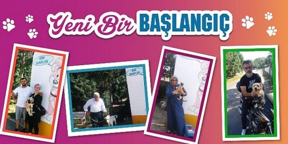 42 Can Dostumuz Daha Yeni Yuvasına Kavuştu