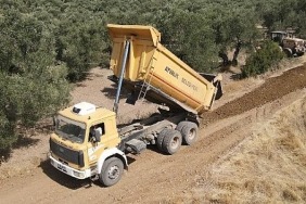 ayvalik-zeytinlikler-arasi-yollar-hasata-hazir.jpg
