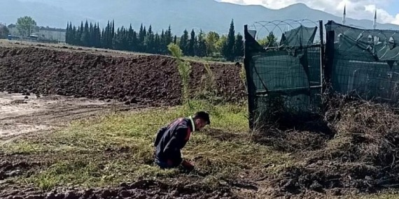 Çukura düşen yavru köpeği A Takımı kurtardı