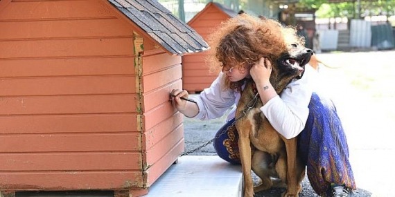 Dünya hayvanları koruma günü Kadıköy’de kutlanacak