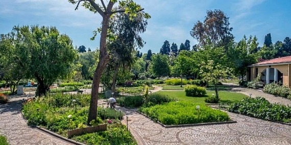 Her Derde Deva Zeytinburnu Tıbbi Bitkiler Bahçesi