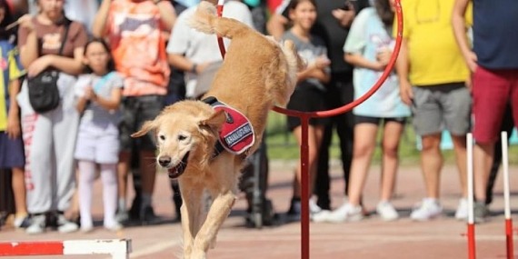 HobiFest 2022 Cam Piramit alanında başladı