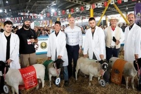 kucukbas-hayvancilik-sektorunun-kalbi-inegolde-atti.jpg