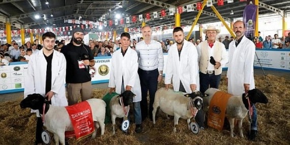 Küçükbaş Hayvancılık Sektörünün Kalbi İnegöl’de Attı