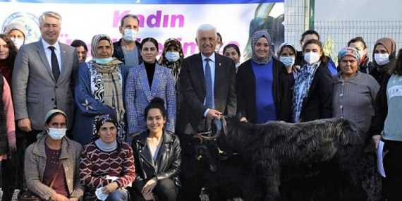 Muğla Büyükşehir Belediyesi Yatağan’da Kıl Keçisi Dağıtacak