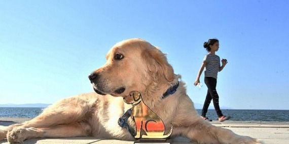 Narlıdere’de Pati-Fest Heyecanı Yaşanacak