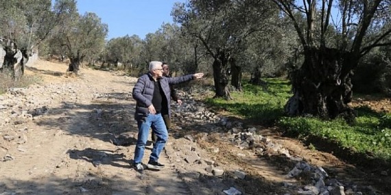 Pelitköy Pazarı Yeni Yerinde Açıldı