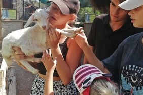 savas-magduru-ukraynali-cocuklar-hayvanat-bahcesini-gezdi.jpg