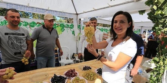 Şerefine Salkım Hanım Osmancık Üzüm Şenliği Bu Pazar Gökçealan’da
