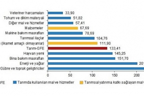 tarimsal-girdi-fiyat-endeksi-tarim-gfe-yillik-yuzde-13341-aylik-yuzde-131-artti.jpg