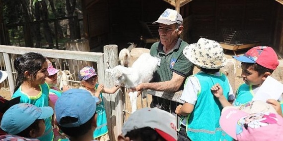 Antalya Büyükşehir Belediyesi Hayvanat Bahçesi’ne yoğun ilgi