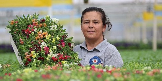 Antalya sokaklarını 3 milyon çiçek süsleyecek