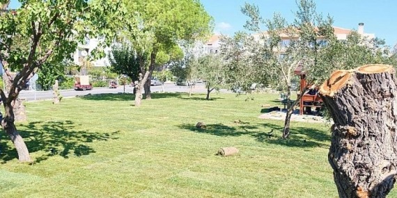 Ayvalık Artık Çok Daha Yeşil