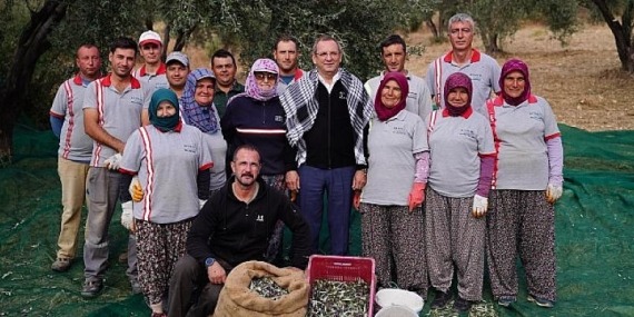 Belediye Zeytinliklerinin İlk Hasadı Başkan Mesut Ergin’den