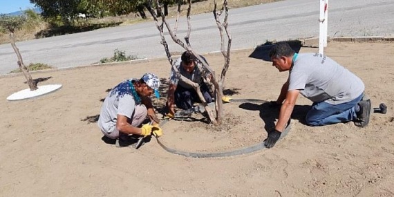 Burhaniye’de Park Bakımları Başladı