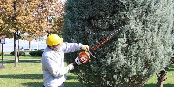 Büyükşehir’den ağaçlara estetik dokunuş