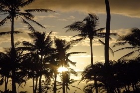 Fiji Gezilecek Yerler