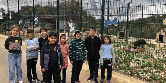 Hayvanlarla iyi ilişkiler kuran çocuklar empati ve öz güven konusunda bir adım önde