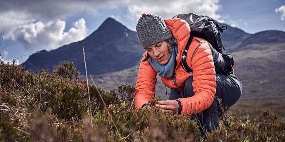 Kuzey Kutbu’nda tehlikeli yeşerme