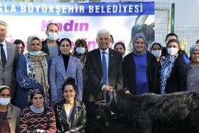 mugla-buyuksehir-belediyesi-yataganda-kil-kecisi-dagitiyor.jpg