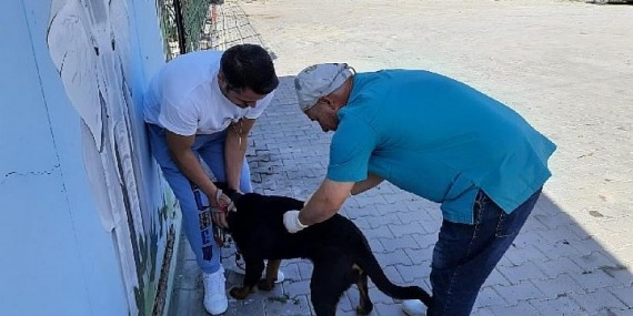 Mustafakemalpaşa Belediyesi’nden kuduz aşısı kampanyası