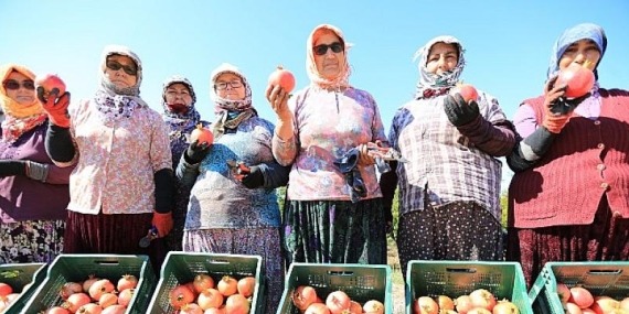 Nar Neşesi, Şen Tanesi Şenliği Bu Pazar Zeytinköy’de