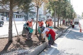 nevsehir-belediye-ekiplerinden-refuj-ve-kavsaklarda-bitkilendirme-ve-bakim-calismasi.jpg