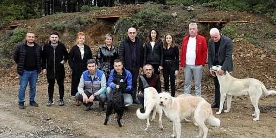 Sokak Canları Korunaklı Yuvalara Kavuştu