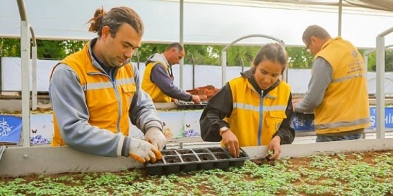 Aydın Büyükşehir Belediyesi Aydın’ı Renklendiren Çiçekleri Kendi Üretiyor