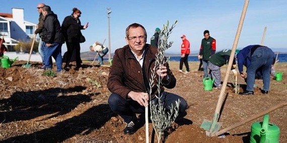 Ayvalık Belediye Başkanı Mesut Ergin: Düzya Zeytin Ağacı Günü Kutlu Olsun