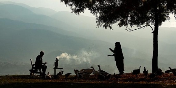 Dereceye Giren Fotoğraflar Belirlendi