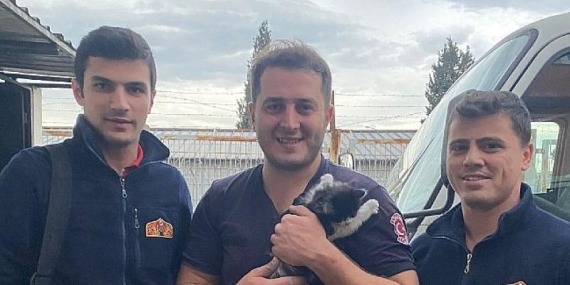 Duvara sıkışan yavru kediyi itfaiye kurtardı