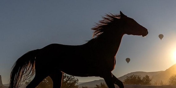 Enis Öncüoğlu “FORM_AT” sergisi ile Goba Art&Design’da