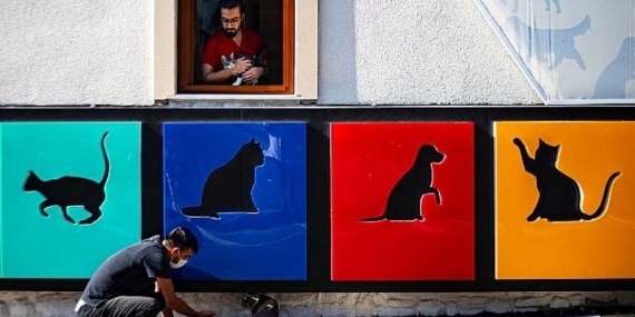 Fotoğraf Yarışması İçin Son 3 Gün