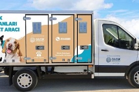 golcuk-belediyesi-sokak-hayvanlarini-ozel-arac-ile-nakledecek.jpg