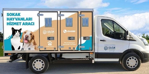 Gölcük Belediyesi Sokak Hayvanlarını Özel Araç İle Nakledecek