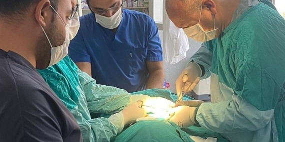 Kaza geçiren çakal ameliyat edildi