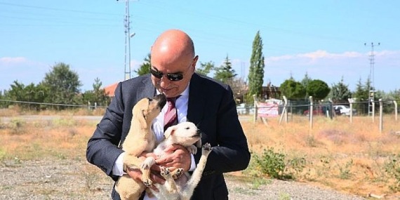 Keçiören Belediyesi Sokak Hayvanlarına Can Oluyor