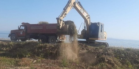 Mevsimlik Bakım ve Budama Çalışmaları Devam Ediyor