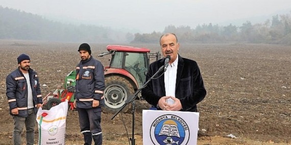 Mudanya Belediyesi Buğday Tohumlarını Toprakla Buluşturdu