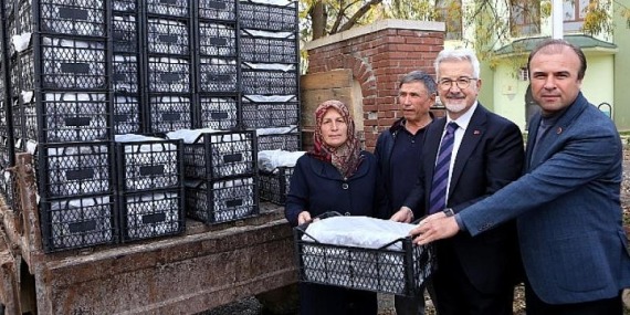 Nilüfer Belediyesi’nden kadın üreticilere 100 bin çilek fidesi