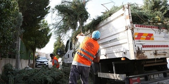 Nilüfer’de bahçe ve budama atıkları kompost oluyor