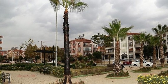 Ödemiş’te Şehir Magandaları Eğitim Şehitleri Parkı’ndaki Palmiye Ağacını Yaktı