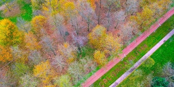 Rengarenk yapraklar dile geldi