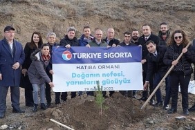 turkiye-sigorta-ormani-sivasta-yeserecek.jpg