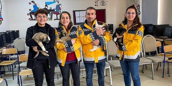 Van Büyükşehir Belediyesi Çocuklara Hayvan Sevgisi Aşılıyor