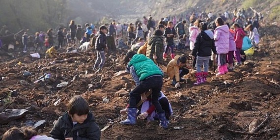 Marmaris’te MADOK- Kızılbük GYO iş birliğiyle ağaç ekim şenliği gerçekleştirildi