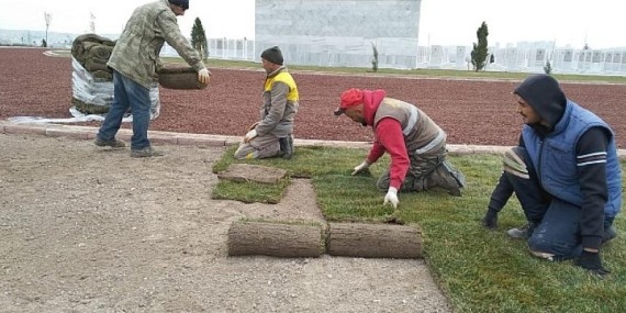 Şehit Öğretmenler Anıtı Yeşeriyor