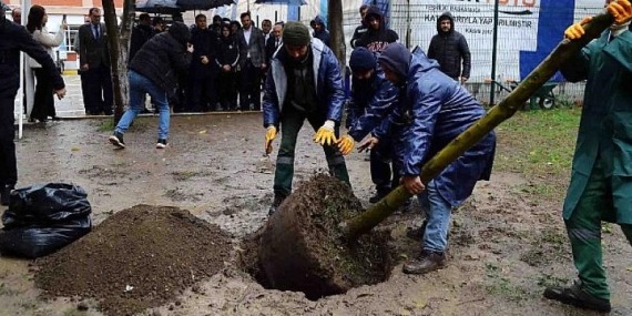 Terör saldırısında hayatını kaybeden Yağmur’un anısına fidan dikildi