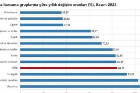 tuik-tuketici-fiyat-endeksi-tufe-yillik-yuzde-8439-aylik-yuzde-288-oldu.jpg